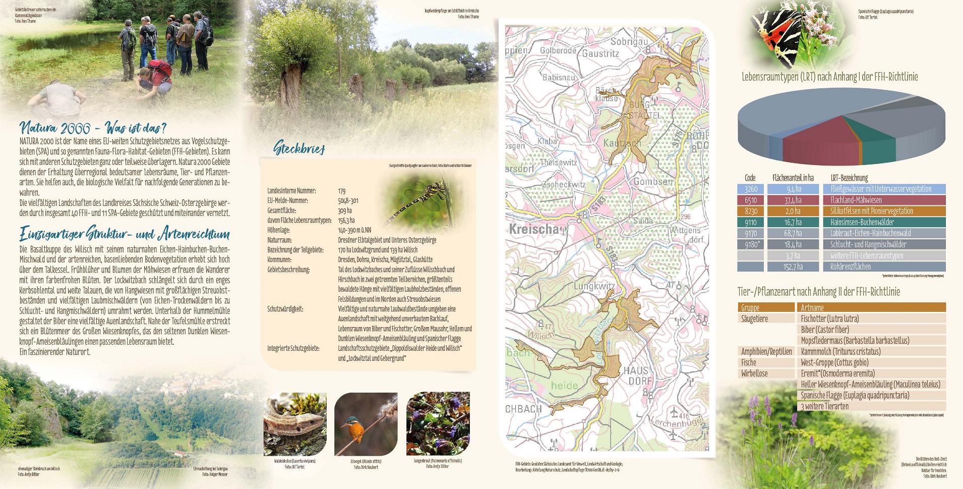 tl_files/downloads/Bilder Projekte/Projektstellen/Natura 2000 2.0/Flyer/LPV_Lockwitz_2.jpg